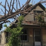 House damaged by tree
