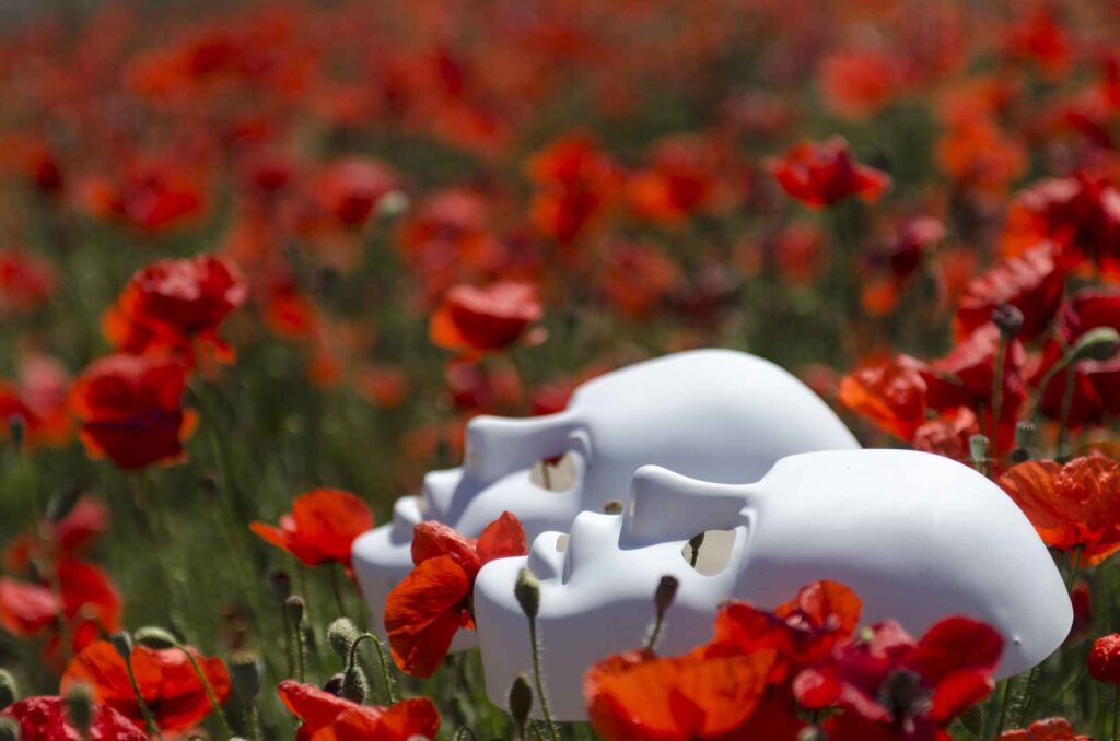 Two masks in a field of poppies
