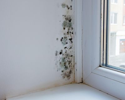 Mould caused by condensation by a window