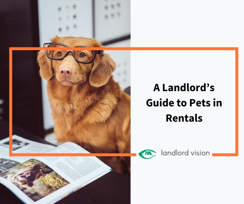 Blog A Landlord’s Guide to Pets in Rentals