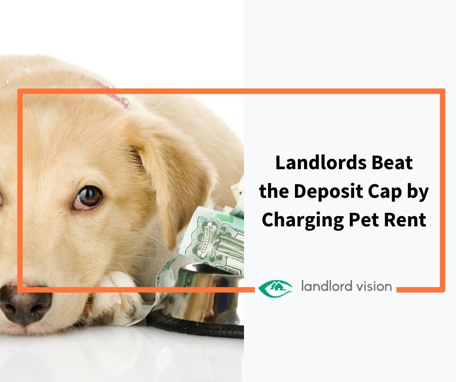 Blog Landlords Beat the Deposit Cap by Charging Pet Rent