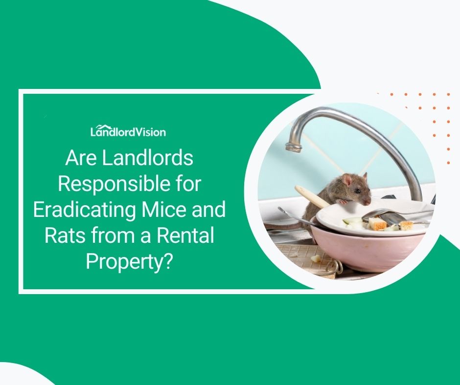 Are Landlords Responsible for Eradicating Mice and Rats from a Rental