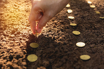 Seedling and saving concept by human hand, Human seeding coins in soil for growing money.