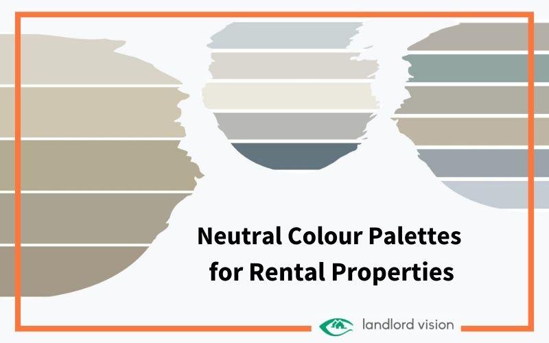 colour palette image