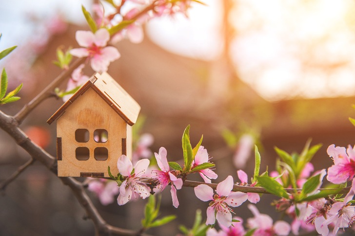 Spring-Maintenance-Tips-For-Your-Rental-Property-image.jpg