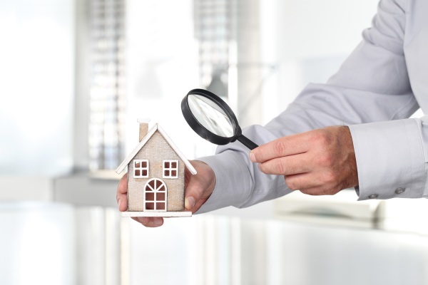 lv-An image of the property inspection checklist-bg